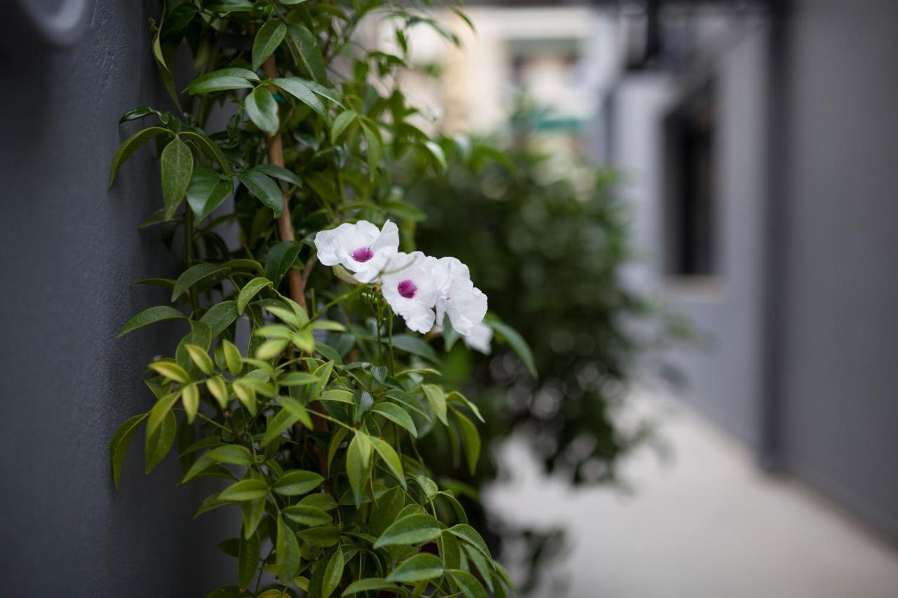 Spacious Flat With Courtyard And Private Parking! Apartment Athens